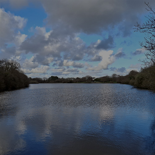 pave-mer-marais